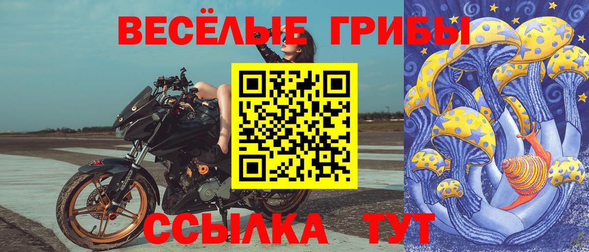 Псилоцибиновые грибы Magic Shrooms  Вход с VPN  Каменск-Уральский 